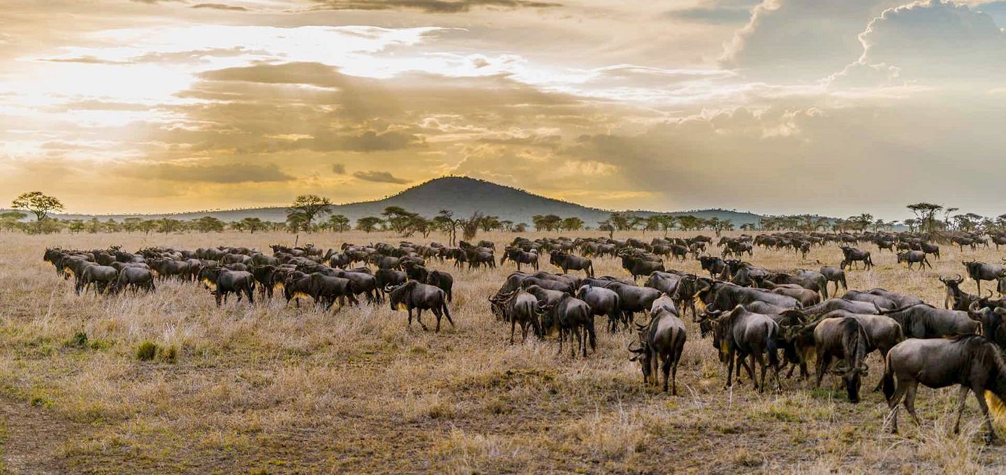 Serengeti National Park
