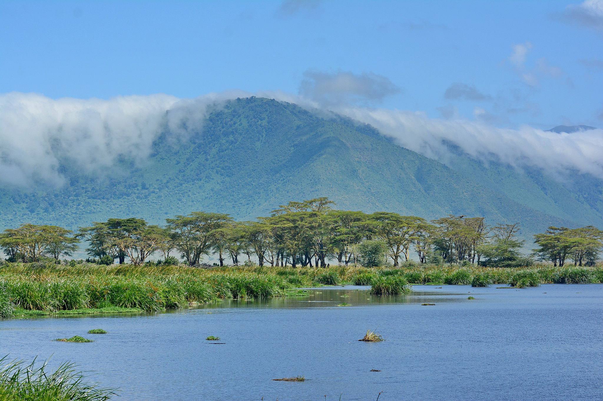 Ngorongoro Conservation Area
