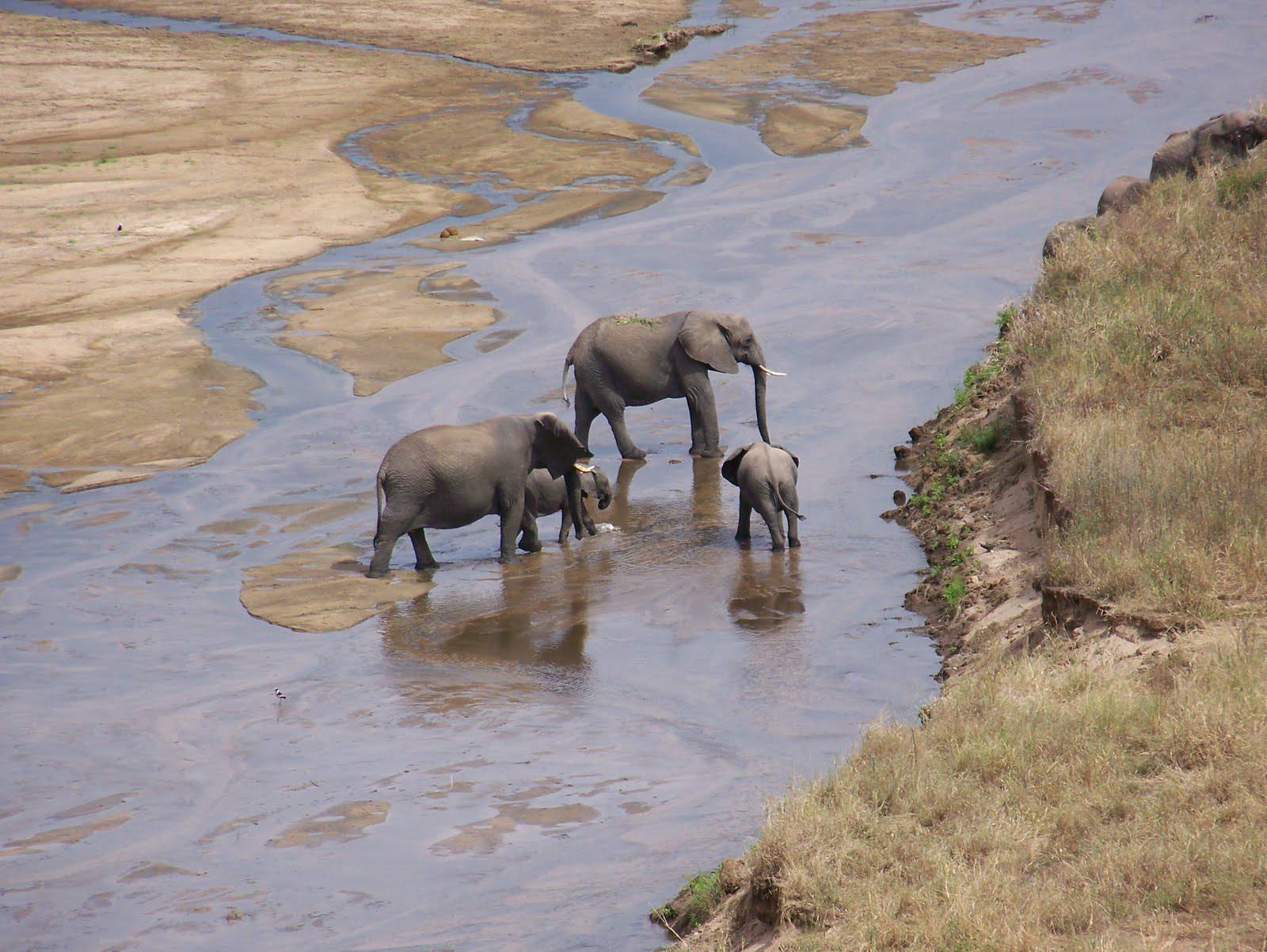 Tarangire National Park